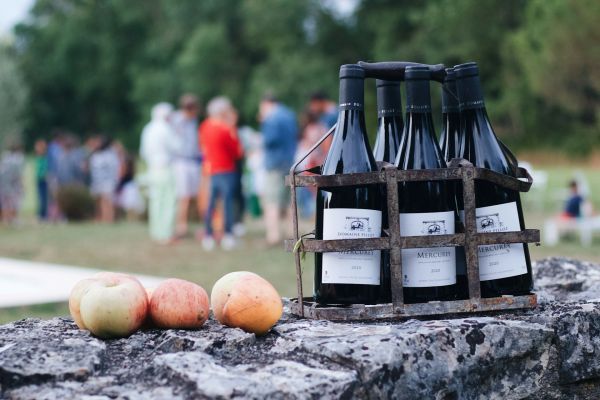 Découvrez les meilleurs circuits de vin en Bourgogne